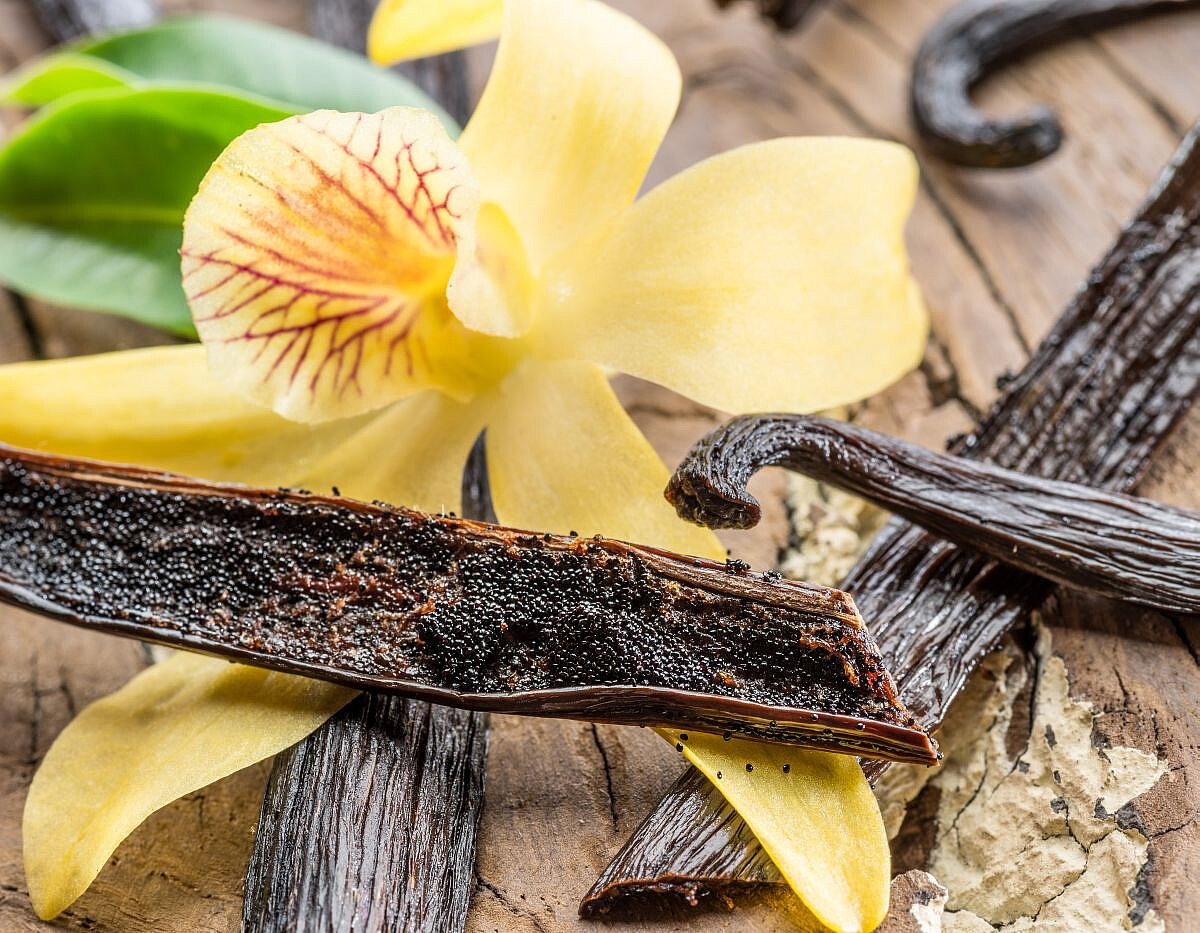 Vanille in der Patisserie: Aroma, Sensorik & kreative Desserts