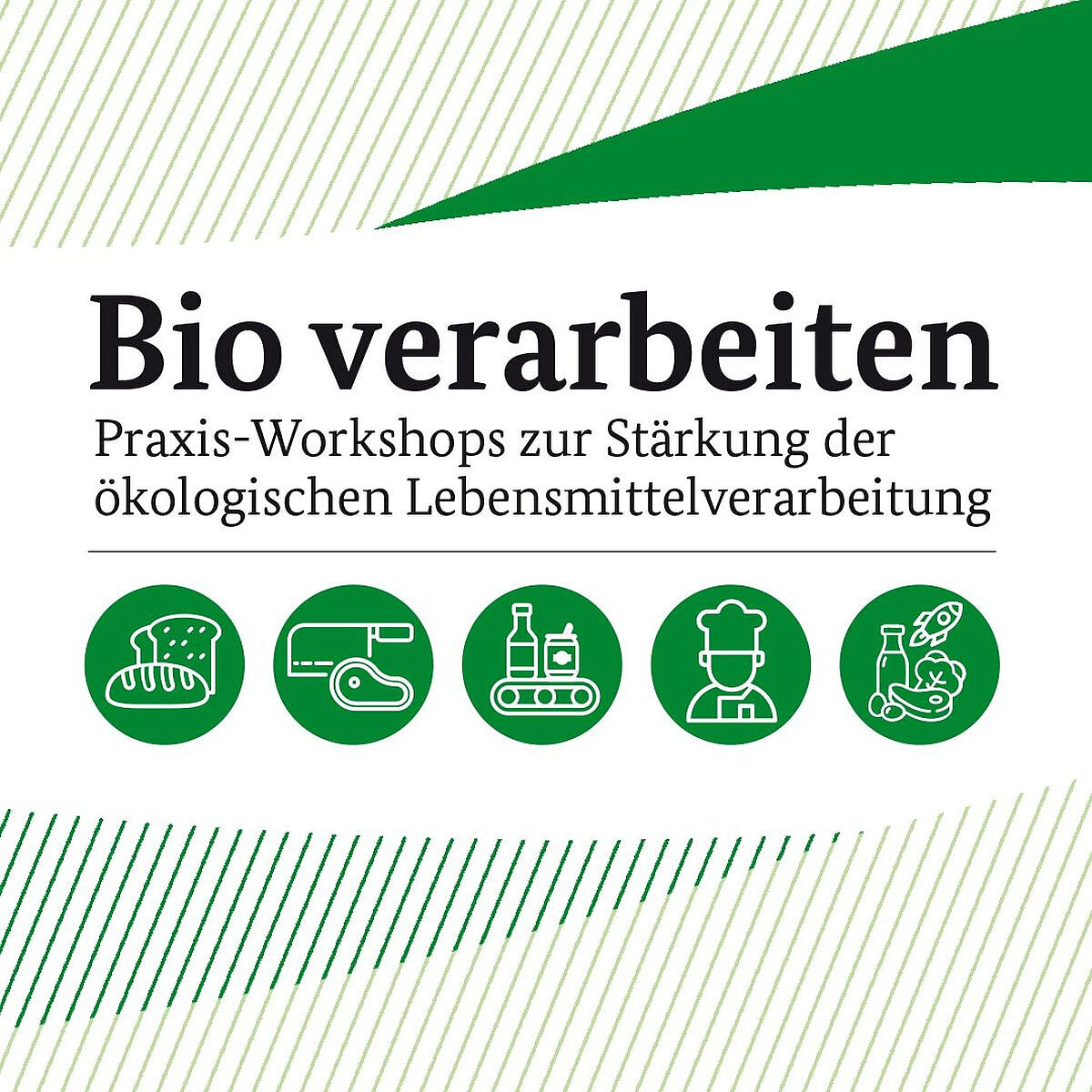 Kostenfreier Praxis-Workshop: Bio verarbeiten - Bio verstehen: Praxisimpulse für die Berufsschule
